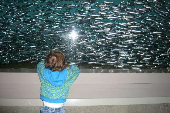 Lillie with fish