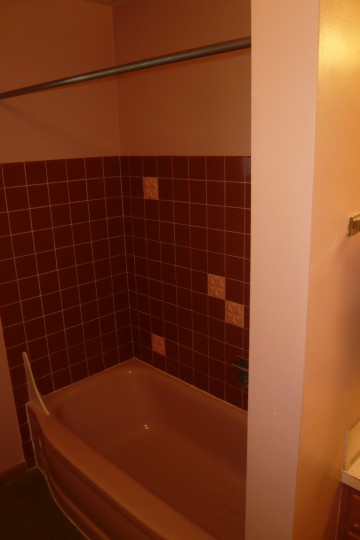 Bathtub Bathtub