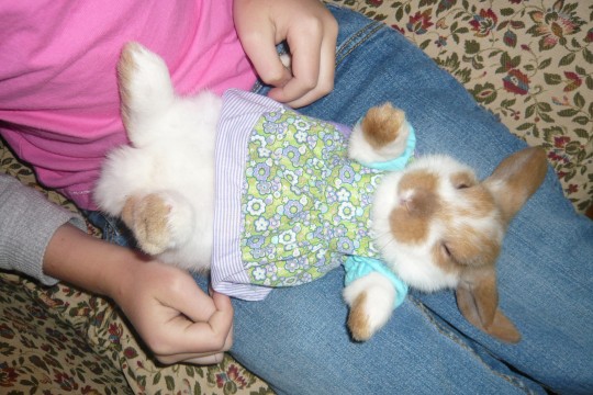 07_Bunny 07_Bunny