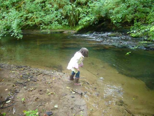 13_LilliePlayingWithStick 13_LilliePlayingWithStick