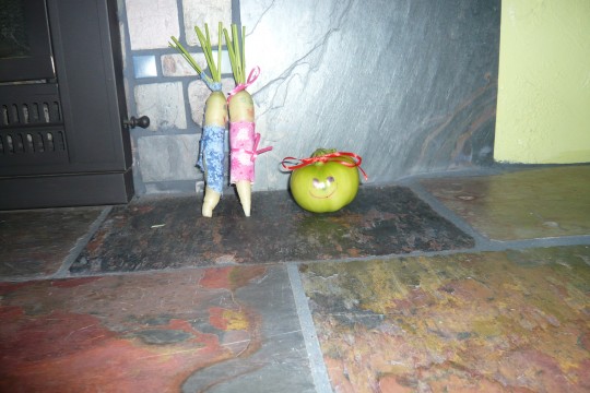 17_VegetableFamily 17_VegetableFamily